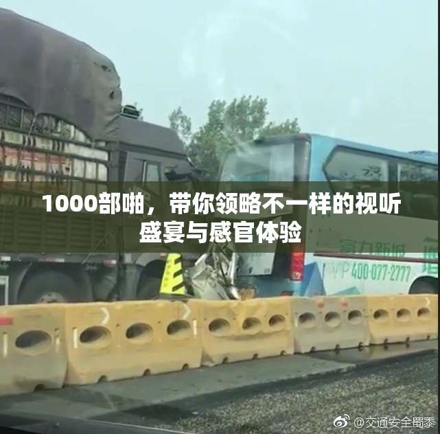 1000部啪，带你领略不一样的视听盛宴与感官体验
