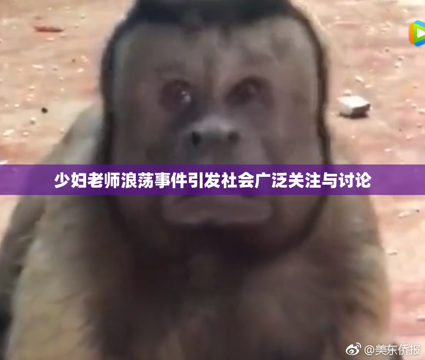 少妇老师浪荡事件引发社会广泛关注与讨论