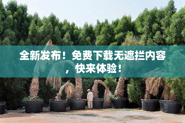 全新发布！免费下载无遮拦内容，快来体验！