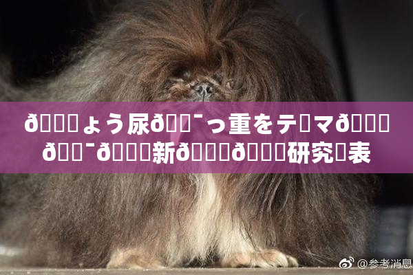 🎆ょう尿🔯っ重をテーマ🎆🔯👅新👅🍑研究発表