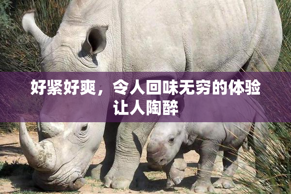 好紧好爽，令人回味无穷的体验让人陶醉