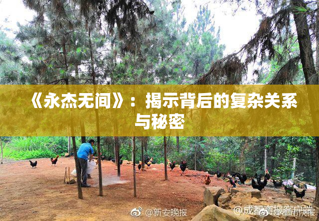 《永杰无间》：揭示背后的复杂关系与秘密