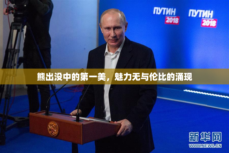 熊出没中的第一美，魅力无与伦比的涌现
