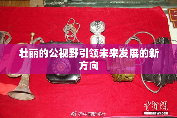 壮丽的公视野引领未来发展的新方向