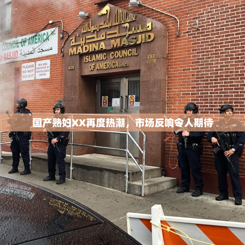 国产熟妇XX再度热潮，市场反响令人期待