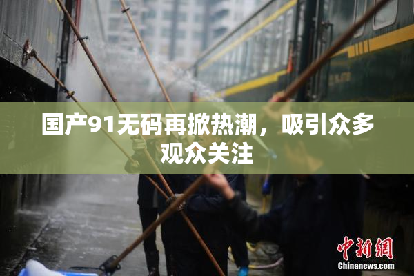 国产91无码再掀热潮，吸引众多观众关注