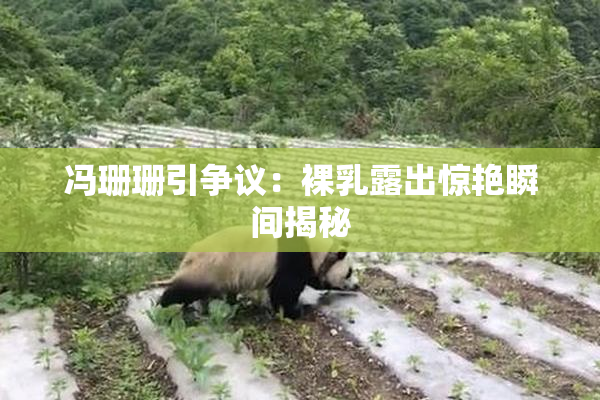 冯珊珊引争议：裸乳露出惊艳瞬间揭秘