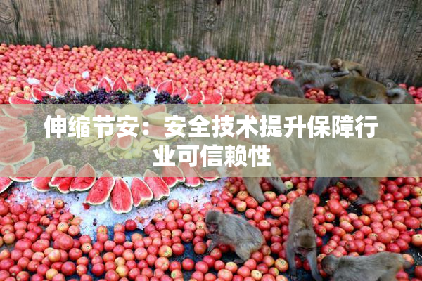 伸缩节安：安全技术提升保障行业可信赖性