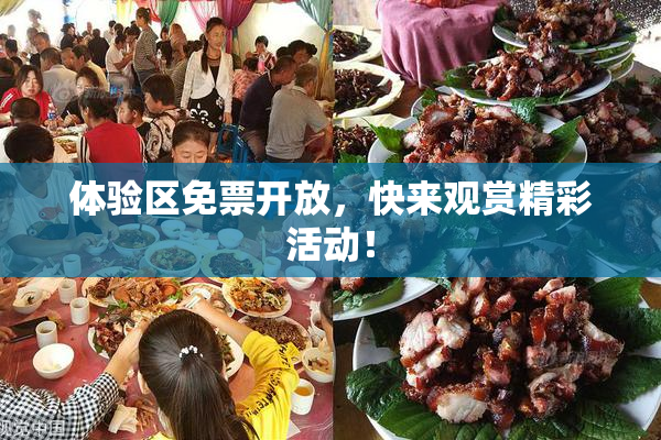 体验区免票开放，快来观赏精彩活动！
