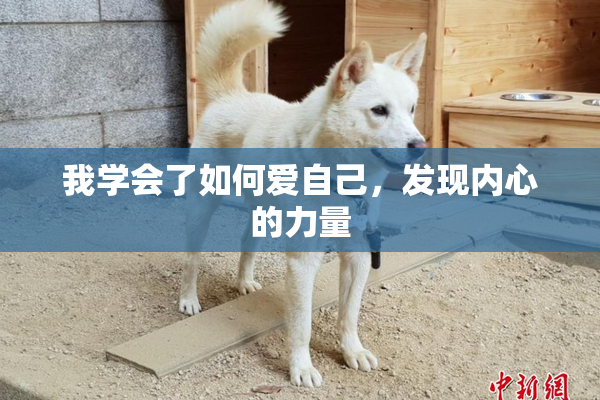 我学会了如何爱自己，发现内心的力量