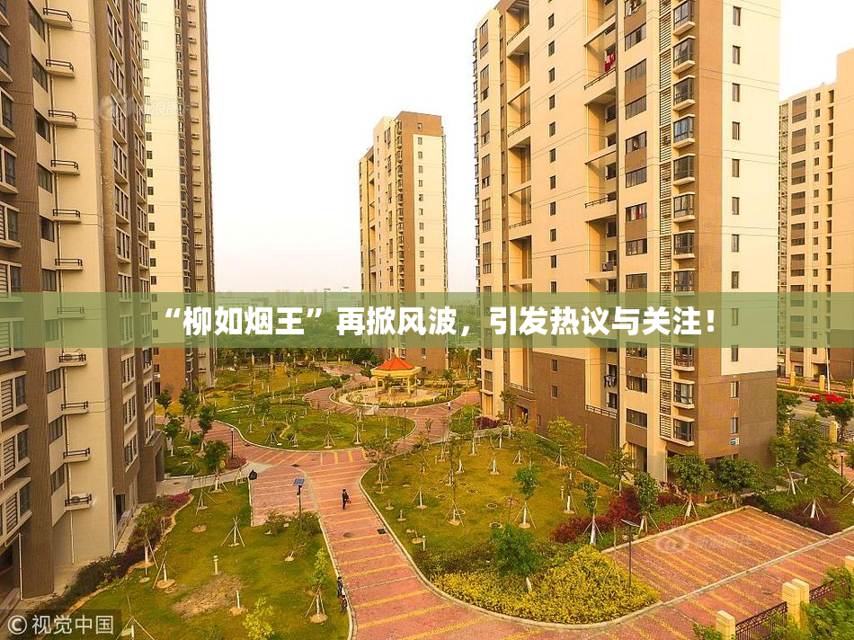 “柳如烟王”再掀风波，引发热议与关注！