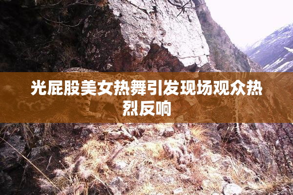 光屁股美女热舞引发现场观众热烈反响