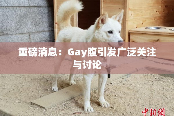 重磅消息：Gay腹引发广泛关注与讨论