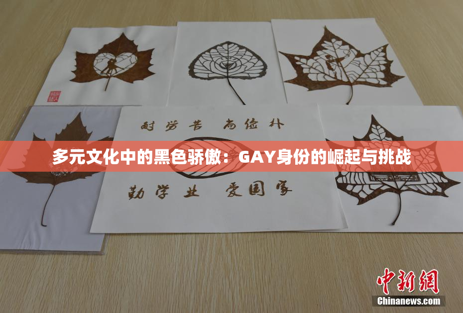 多元文化中的黑色骄傲：GAY身份的崛起与挑战