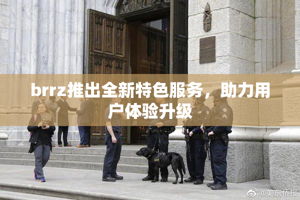 brrz推出全新特色服务，助力用户体验升级