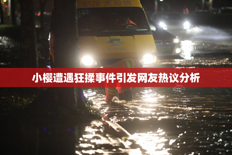 小樱遭遇狂揉事件引发网友热议分析