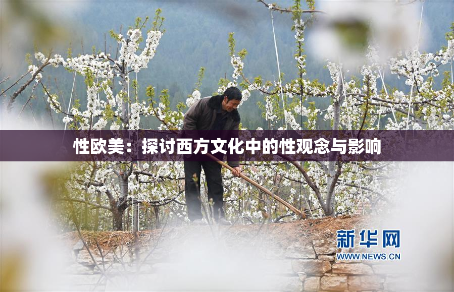 性欧美：探讨西方文化中的性观念与影响