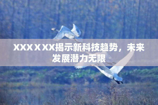 XXXⅩXX揭示新科技趋势，未来发展潜力无限
