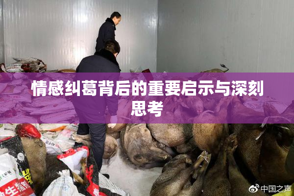 情感纠葛背后的重要启示与深刻思考