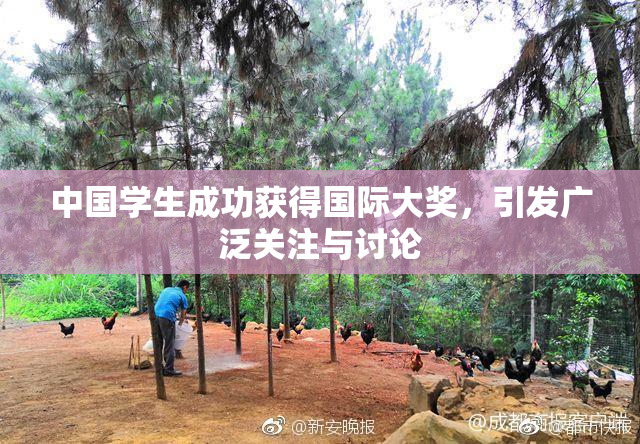 中国学生成功获得国际大奖，引发广泛关注与讨论