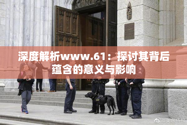 深度解析www.61：探讨其背后蕴含的意义与影响