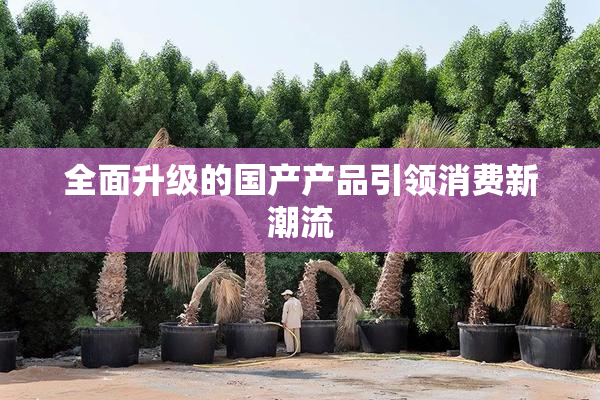 全面升级的国产产品引领消费新潮流