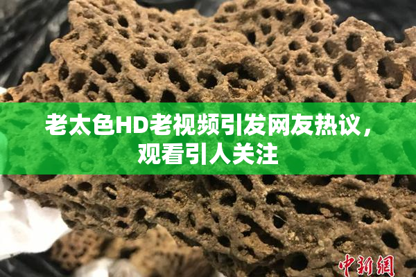 老太色HD老视频引发网友热议，观看引人关注