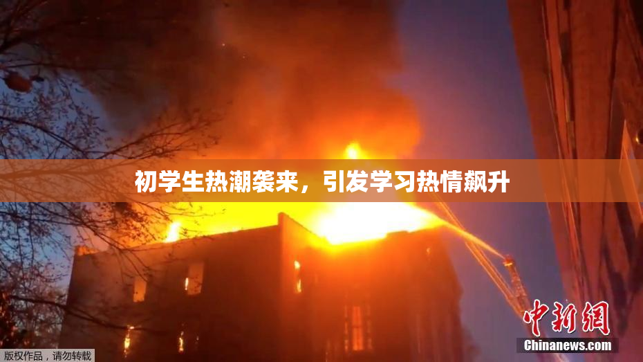 初学生热潮袭来，引发学习热情飙升