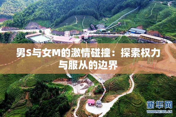 男S与女M的激情碰撞：探索权力与服从的边界