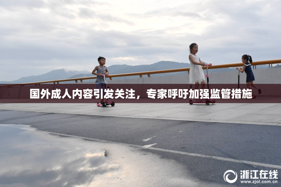 国外成人内容引发关注，专家呼吁加强监管措施