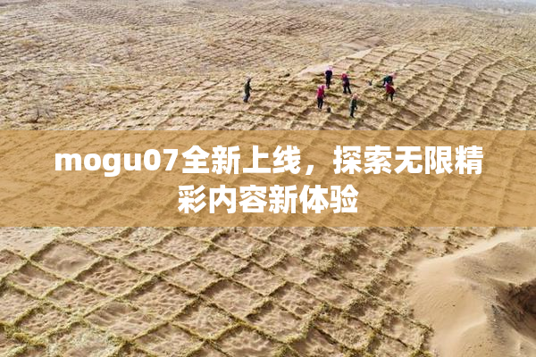 mogu07全新上线，探索无限精彩内容新体验