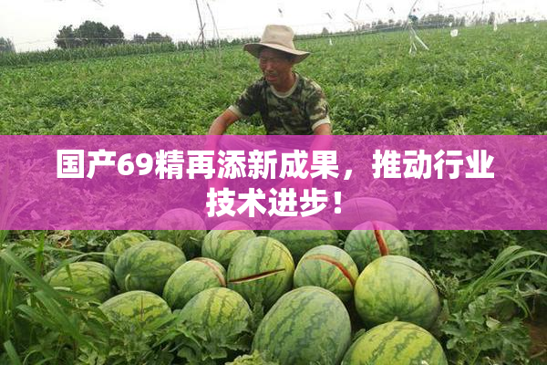 国产69精再添新成果，推动行业技术进步！