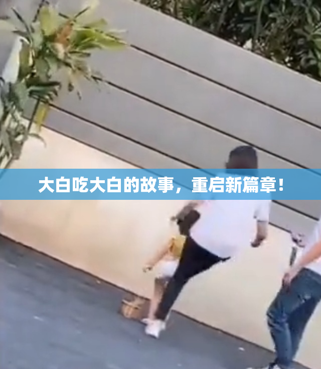 大白吃大白的故事，重启新篇章！