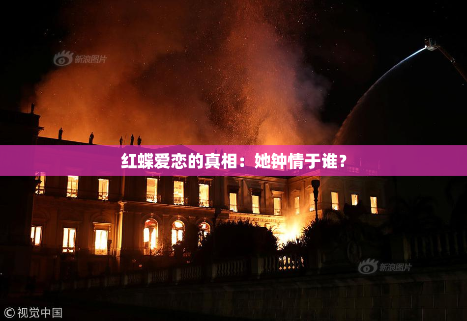 红蝶爱恋的真相：她钟情于谁？