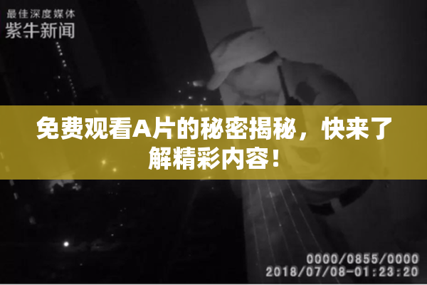 免费观看A片的秘密揭秘，快来了解精彩内容！