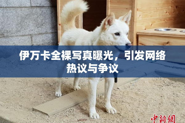 伊万卡全裸写真曝光，引发网络热议与争议