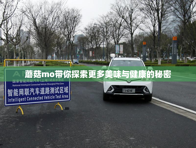 蘑菇mo带你探索更多美味与健康的秘密