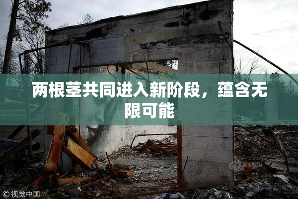 两根茎共同进入新阶段，蕴含无限可能