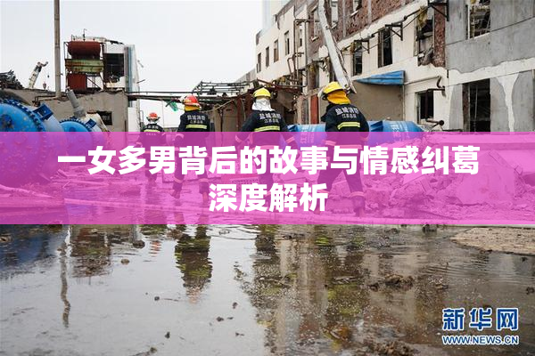 一女多男背后的故事与情感纠葛深度解析