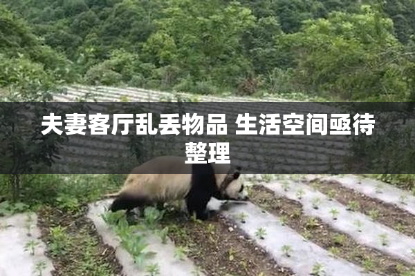 夫妻客厅乱丢物品 生活空间亟待整理