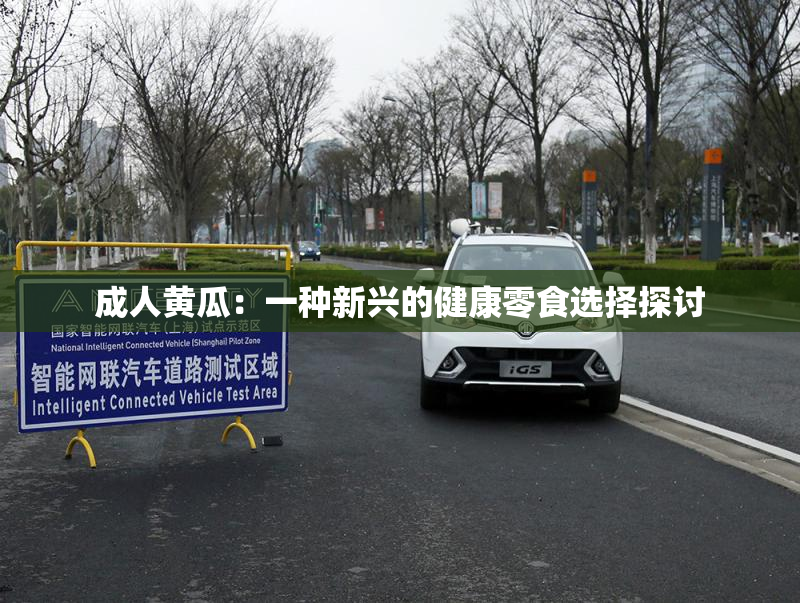 成人黄瓜：一种新兴的健康零食选择探讨