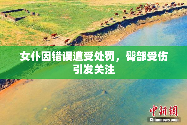女仆因错误遭受处罚，臀部受伤引发关注