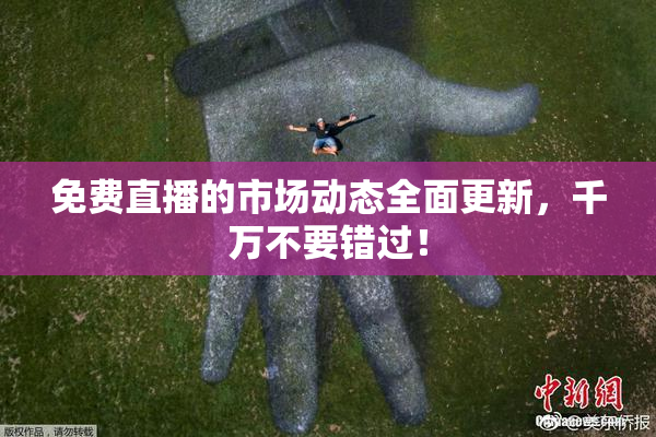 免费直播的市场动态全面更新，千万不要错过！