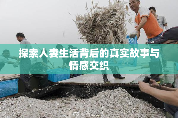 探索人妻生活背后的真实故事与情感交织