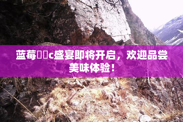 蓝莓❌‌c盛宴即将开启，欢迎品尝美味体验！