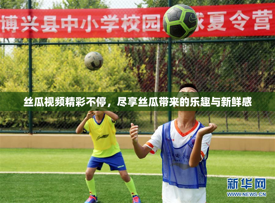 丝瓜视频精彩不停，尽享丝瓜带来的乐趣与新鲜感