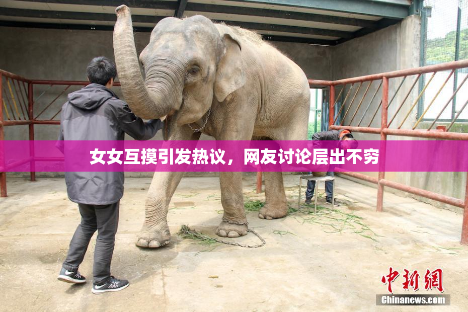 女女互摸引发热议，网友讨论层出不穷