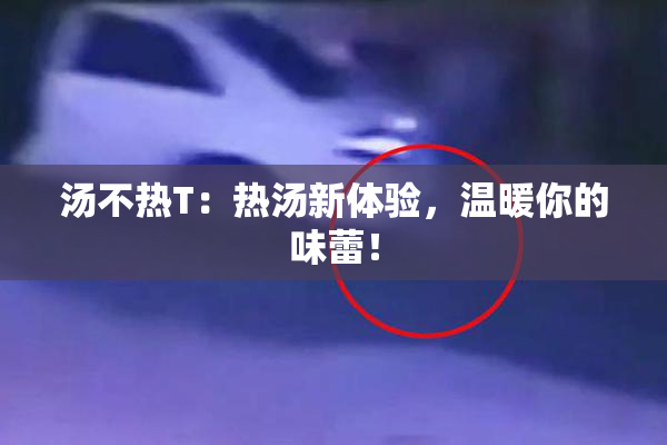 汤不热T：热汤新体验，温暖你的味蕾！