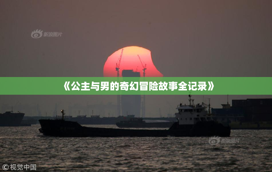 《公主与男的奇幻冒险故事全记录》