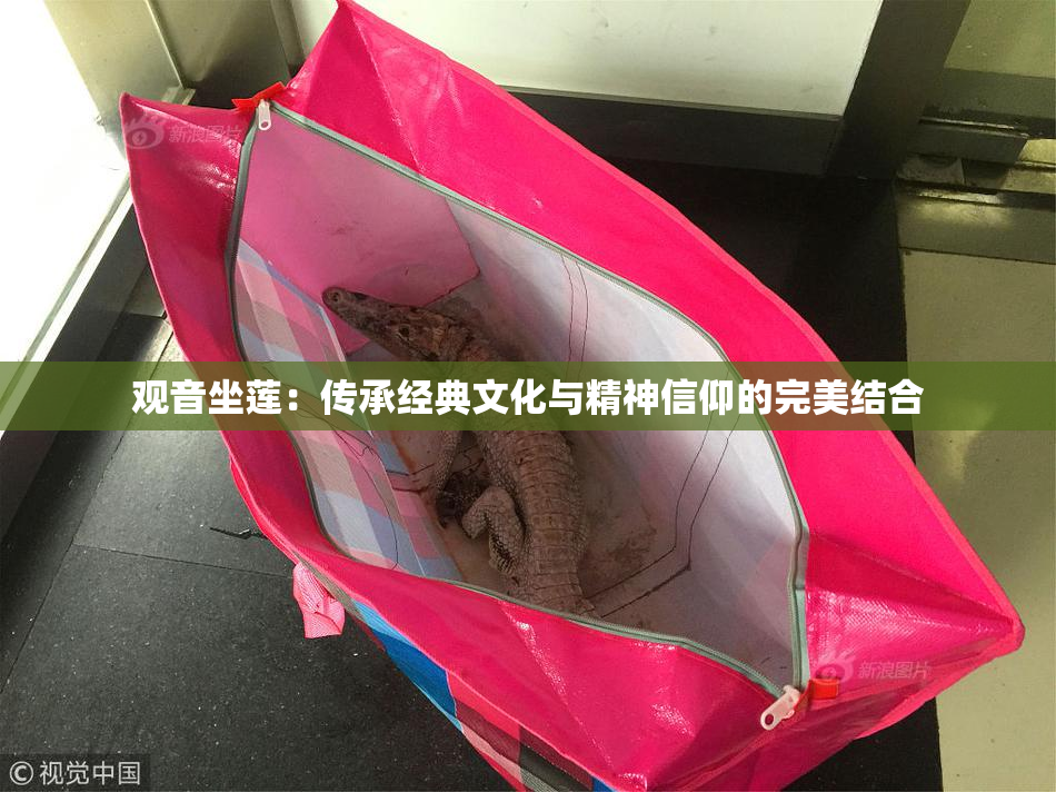 观音坐莲：传承经典文化与精神信仰的完美结合